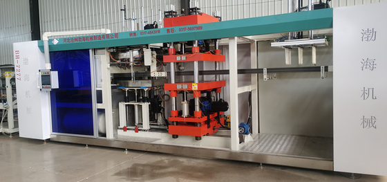 Abs Blister Forming Machine Multi Station Fully Automatic Egg Tray Jellybox