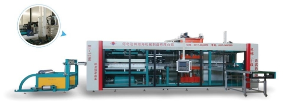 Pe Multi Station Blister Tray Making Machine Fully Automatic For Fruit Box